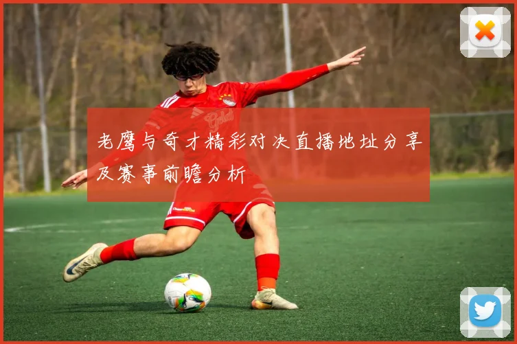 老鹰与奇才精彩对决直播地址分享及赛事前瞻分析