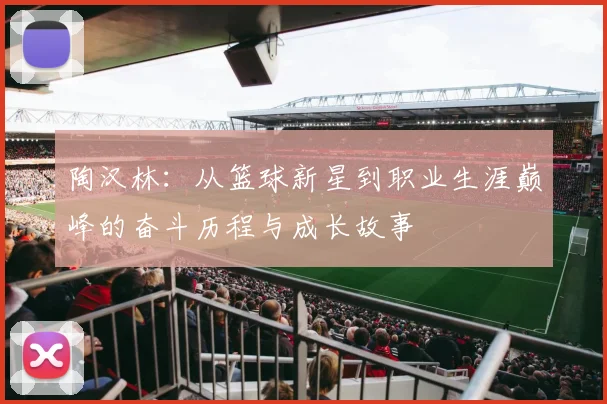 陶汉林：从篮球新星到职业生涯巅峰的奋斗历程与成长故事