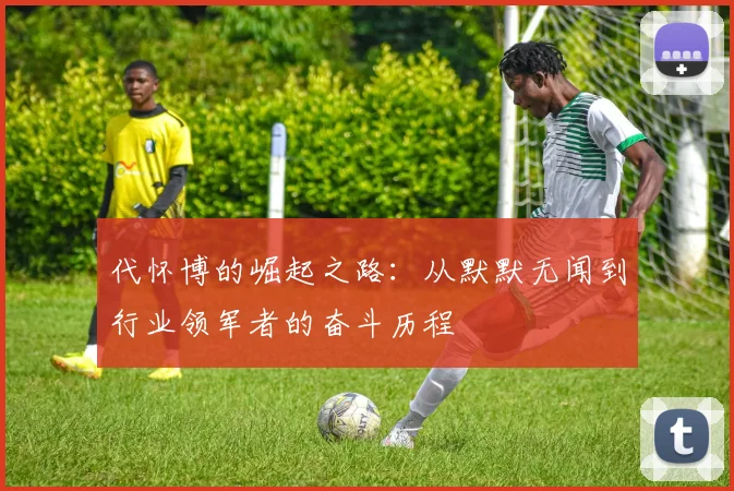 代怀博的崛起之路：从默默无闻到行业领军者的奋斗历程