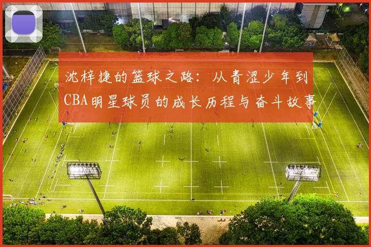 沈梓捷的篮球之路：从青涩少年到CBA明星球员的成长历程与奋斗故事
