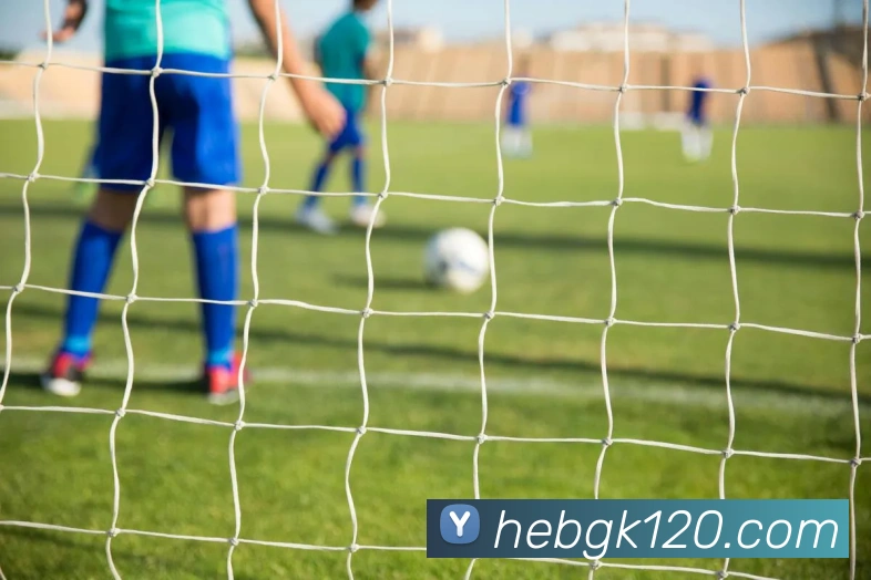 三亿体育APP 封面图